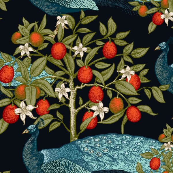Peafowl West Wallpaper
