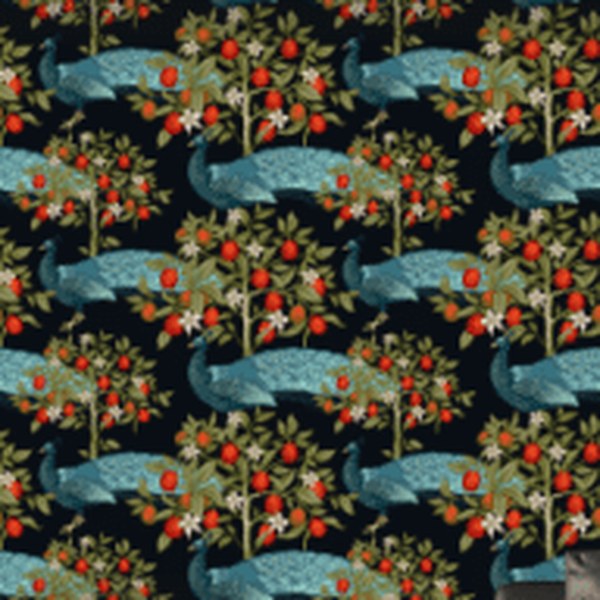 Peafowl West Wallpaper wallpaper close-up on a wall