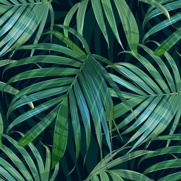 Shadow Jungle Wallpaper