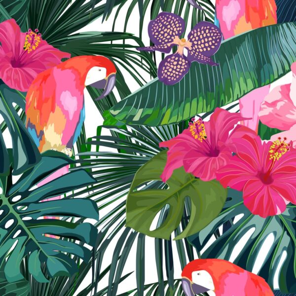 Tropical Keet Wallpaper
