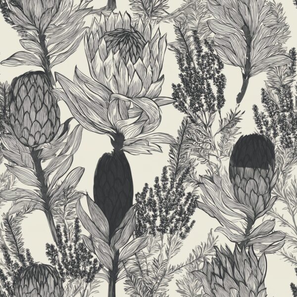 Protea Botanical Sketch, protea and fynbos line drawing in charcoal, grey and cream wallpaper - Wallpaper Online Canada