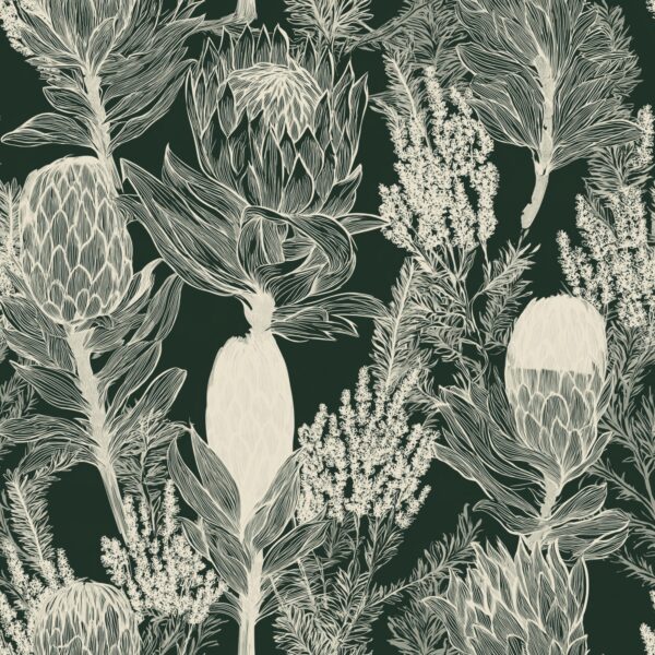 Midnight Protea Fynbos, protea and fynbos botanical line art in forest green and ivory wallpaper - Wallpaper Online Canada