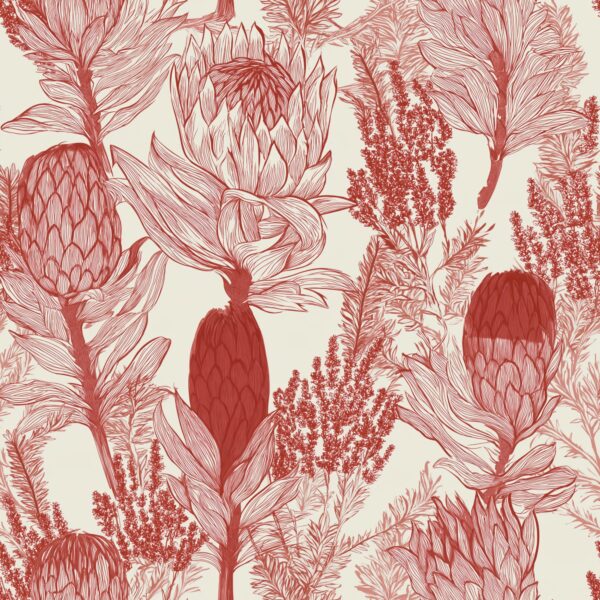 Rooibos Protea, protea and fynbos botanical in red and cream wallpaper - Wallpaper Online Canada