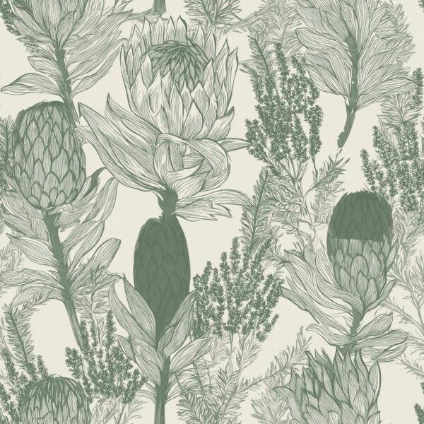 Protea Fynbos Sketch, protea flowers and fynbos foliage in sage green and cream wallpaper - Wallpaper Online Canada