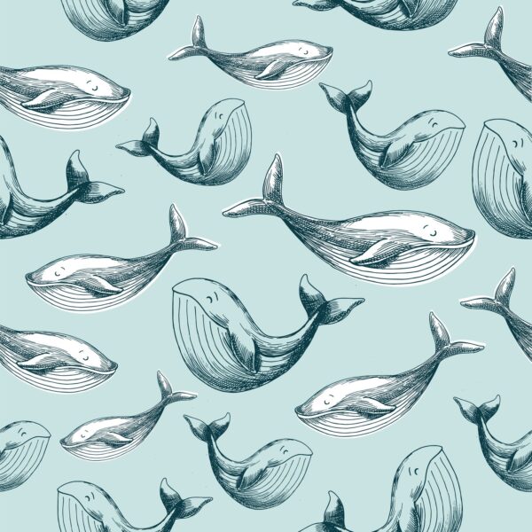 Whale of a Time Wallpaper