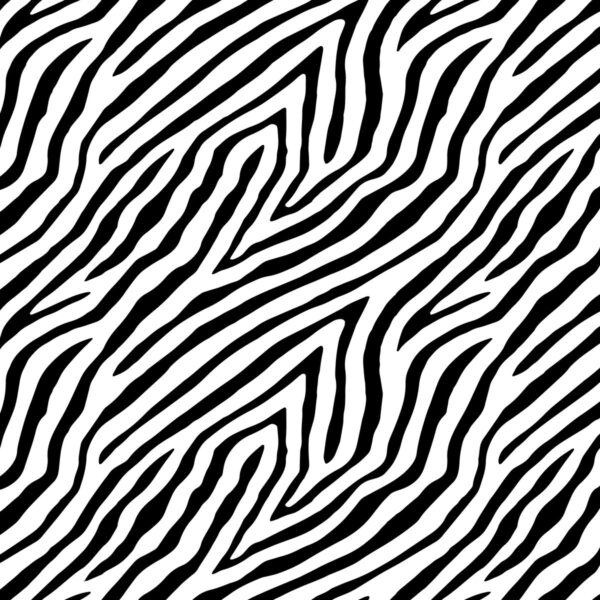 Zeebra Wallpaper
